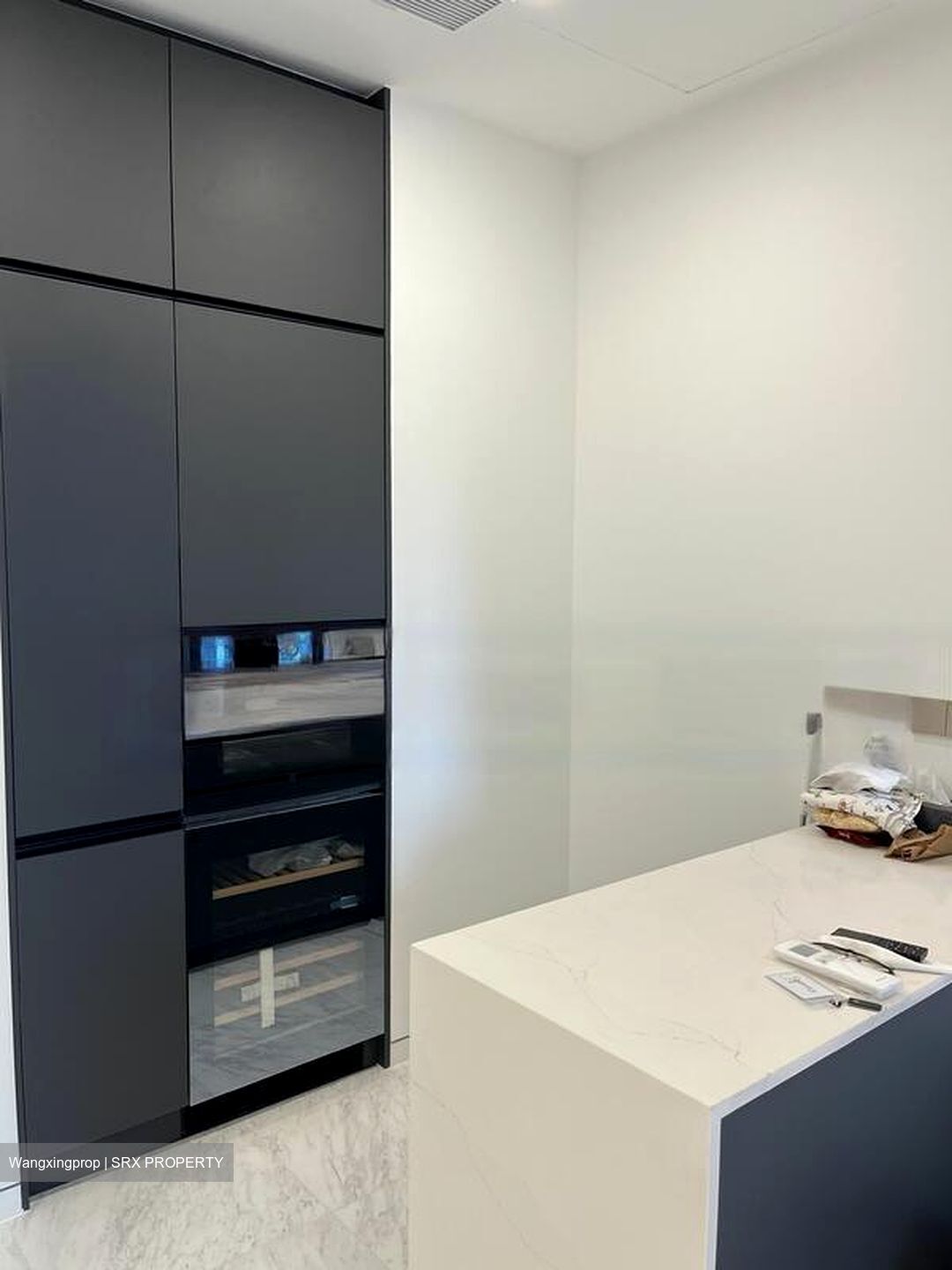 Cairnhill 16 (D9), Apartment #619525421
